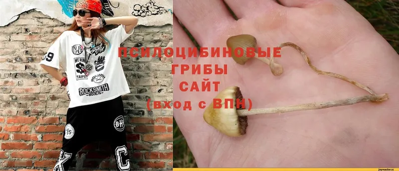 Галлюциногенные грибы Magic Shrooms  Сыктывкар 